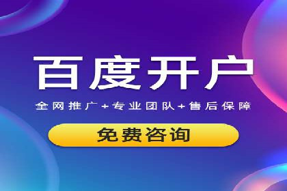 SEM公司案例分析：搜索引擎优化策略与执行